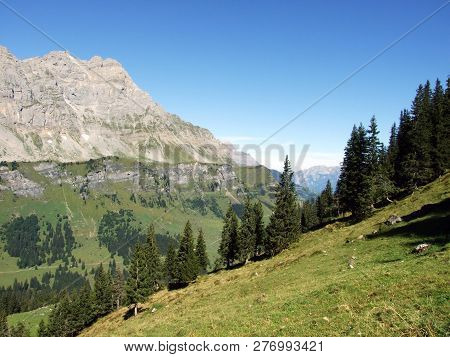 Alpine Top Ortstock, Above The Braunwald Forest And Linthal Valley - Canton Of Glarus, Switzerland
