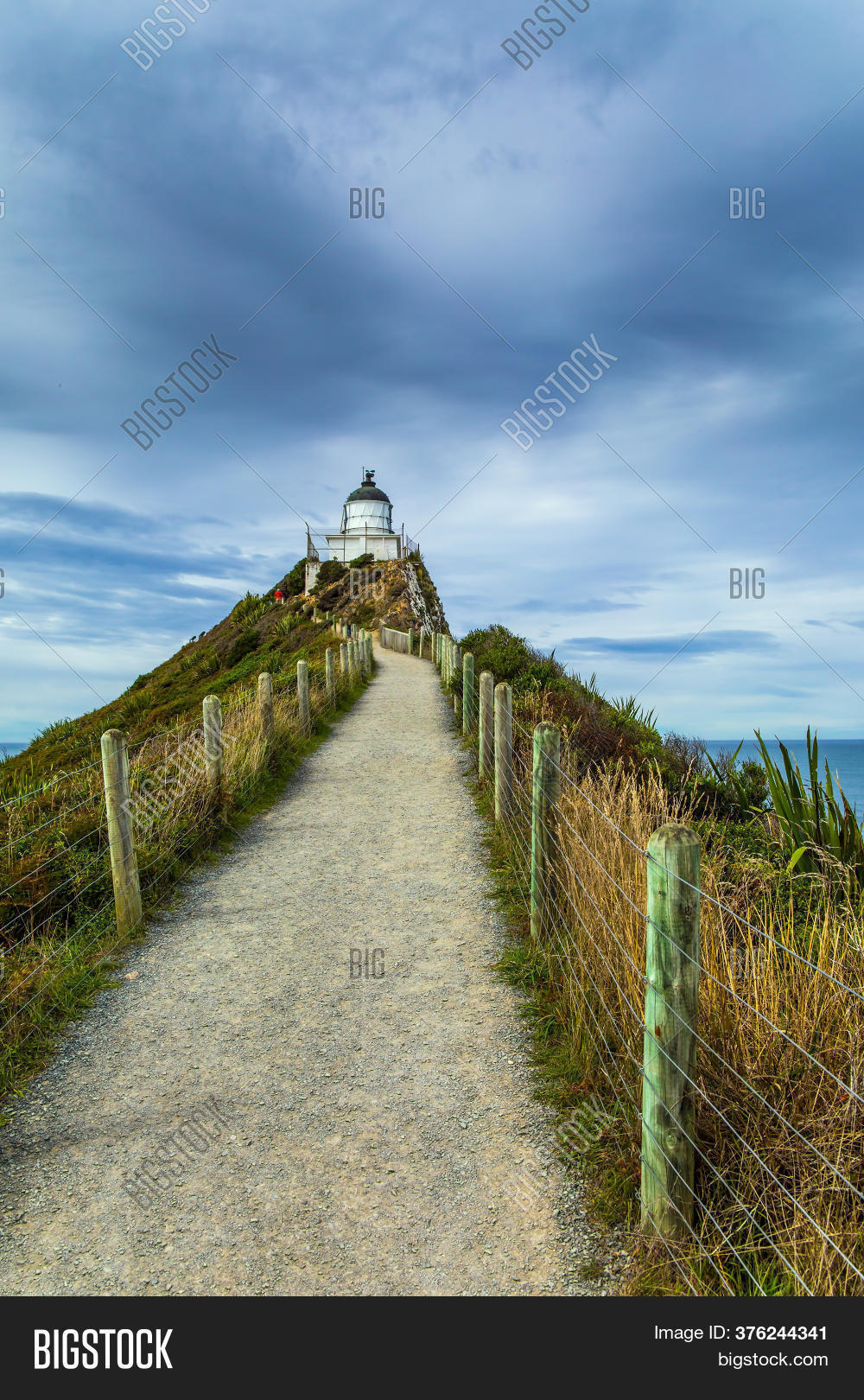 Nugget Point Image & Photo (Free Trial) Bigstock
