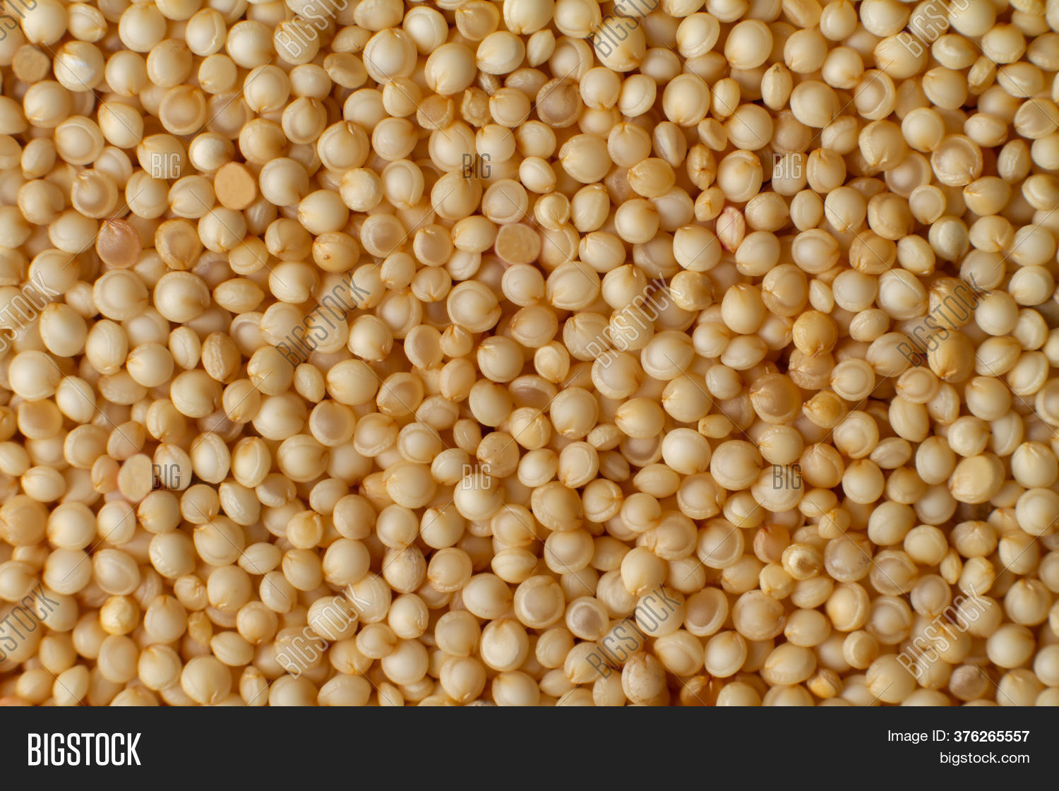 Macro Photo Couscous Image Photo Free Trial Bigstock
