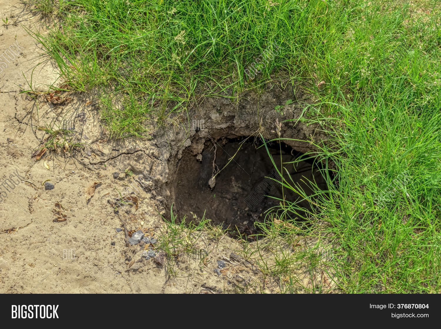 Deep Burrow Ground Image & Photo (Free Trial) Bigstock