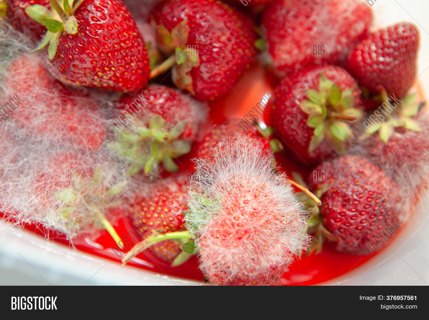 Moldy Strawberries Image & Photo (Free Trial) Bigstock