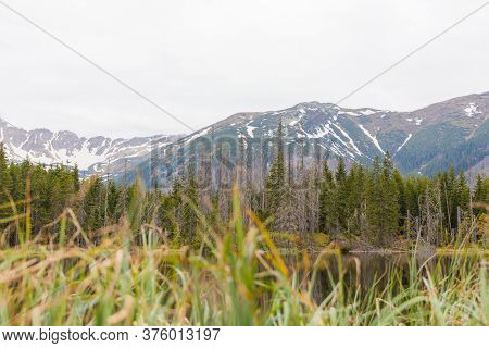 Smreczynski Pond, Tatra National Park, Poland. Mountain Lake In The Forest