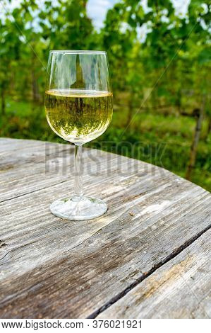 Tasting Of Dutch Dry White Wine In Glass On Vineyard In Summer