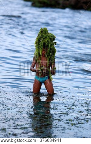 Salvador, Bahia / Brazil - February 2, 2015: Child Plays With Algae On The Rio Vermelho Beach In The