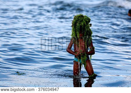 Salvador, Bahia / Brazil - February 2, 2015: Child Plays With Algae On The Rio Vermelho Beach In The