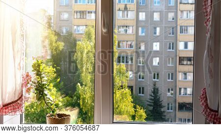 City Multi-storey Grey And Brown Dwelling Building And High Green Trees Outside Plastic Window With 