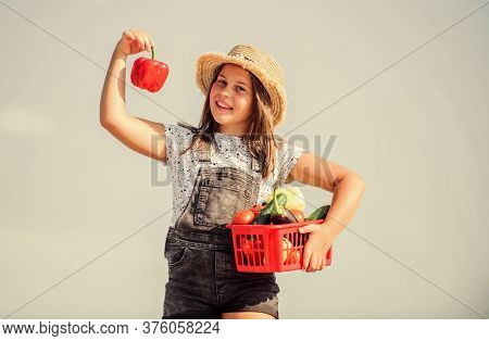 Made Right Choice. Kid On Summer Farm. Organic Food. Little Girl Vegetable In Basket. Only Natural. 