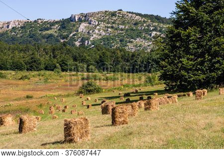 Haystacks On Dubasnica Mountain In Eastern Serbia Near The City Of Bor