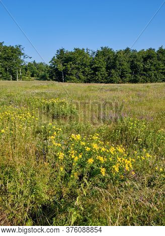 High Plain Plateau Of Dubasnica Mountain In Eastern Serbia Near The City Of Bor