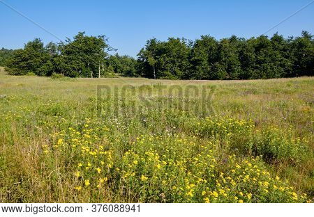 High Plain Plateau Of Dubasnica Mountain In Eastern Serbia Near The City Of Bor