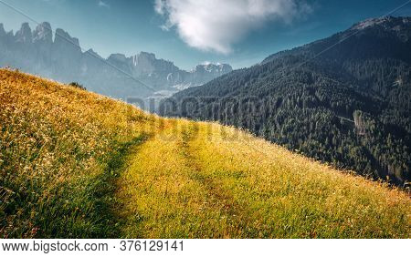 Awesome Alpine Highlands In Sunny Day. Alps Mountain Meadow Tranquil Summer View. Landscape With Fre