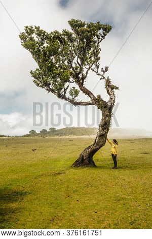 Traveller woman feeling the power of the nature at an ancient forest