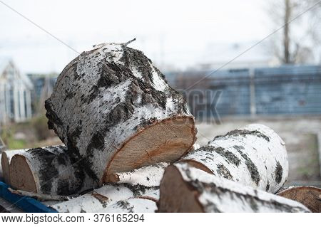 Stumps Lie In A Heap, A Rustic Courtyard, In The Background A Vegetable Garden