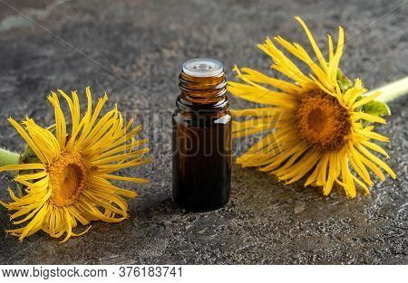 A Dropper Bottle Of Elecampane Essential Oil With Inula Helenium Flowers