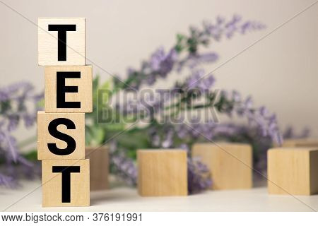 Test Word Made Of Wood Background. Business Concept. Test Sign, Exam, Learning Concept. Word Test Wr