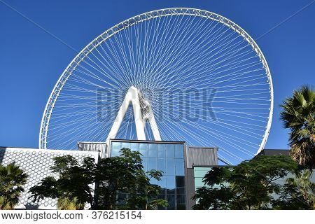 Dubai, Uae - Feb 15: Ain Dubai (dubai Eye) Ferris Wheel At Bluewater Island In Dubai, Uae, As Seen O