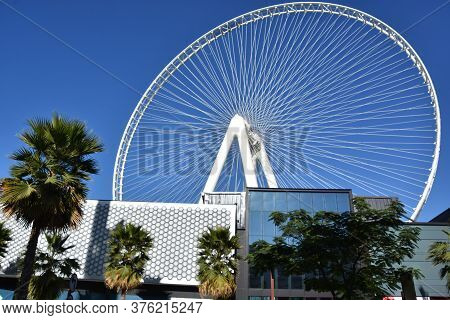 Dubai, Uae - Feb 15: Ain Dubai (dubai Eye) Ferris Wheel At Bluewater Island In Dubai, Uae, As Seen O