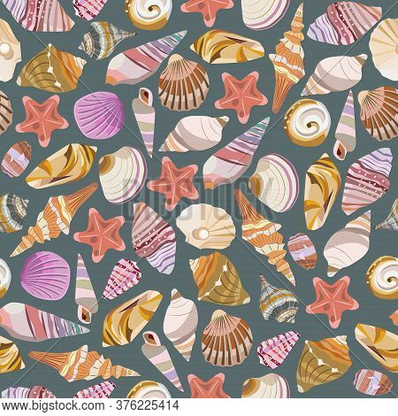 Seamless Vector Color Pattern With Shells. Hand Drawn мarine Background. Suitable For Greetings, Inv