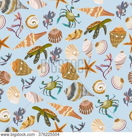 Seamless Vector Color Pattern With Shells. Hand Drawn мarine Background. Suitable For Greetings, Inv