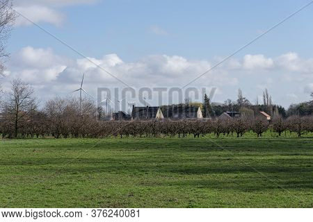 Sint Gillis Waas, Belgium, 03 March 2020, Windmill Park On The Edge Of A Residential Area