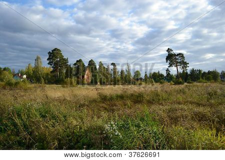 Zomer landschap