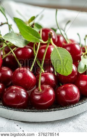 New Harvest Of Red Ripe Juicy Sour Cherry Or Kriek Berry