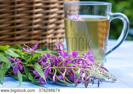 Traditional Russian Herbal Drink Ivan Tea In A Transparent Cup. Close-up, Leaves Of Ivan Tea, Firewe