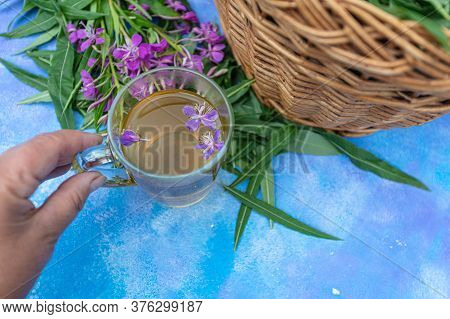 Traditional Russian Herbal Drink Ivan Tea In A Transparent Cup. Close-up, Leaves Of Ivan Tea, Firewe