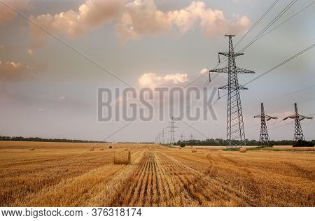 Fields Of Dry Ripe Wheat Against The Background Of Metal Pylons Of Electric Wires