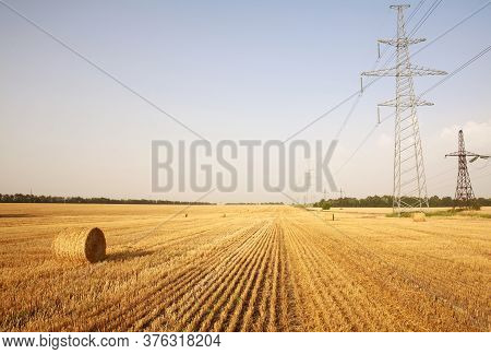 Fields Of Dry Ripe Wheat Against The Background Of Metal Pylons Of Electric Wires