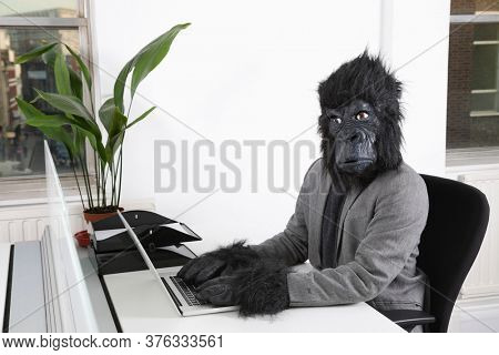 Portrait of young man in gorilla mask using laptop at office