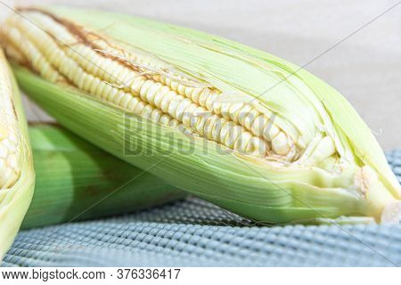 Corn Cobs (zea Mays) Collected And Processed For Cooking