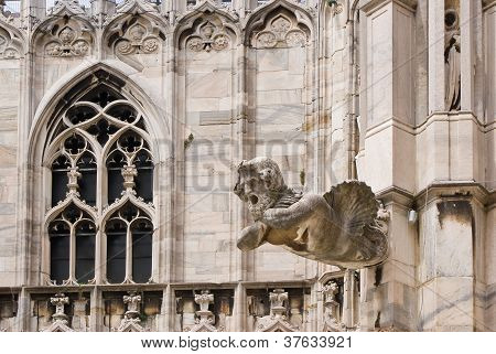 A Gargoyle In The Cathedral Of Milan