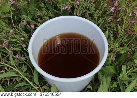 The Picture Shows Liquid Manure From Comfrey In A Comfrey Field