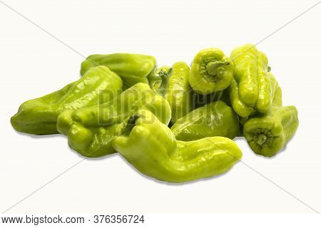 Green Peppers Heart Of Ox Digirible Green Peppers Heart Of Ox Digirible