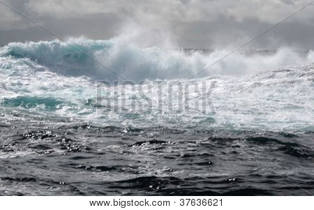 Ruvido Wave