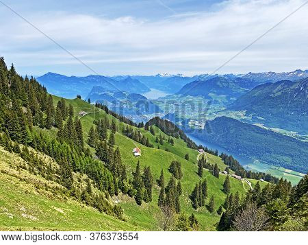 Alpine Pastures And Grasslands On The Slopes Of The Pilatus Massif And In The Alpine Valleys At The 