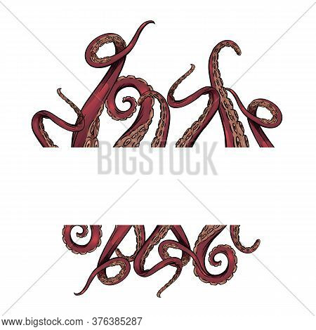 Frame With Color Cartoon Sketches Octopus Tentacles And Place For Text. Creepy Limbs Of Marine Inhab