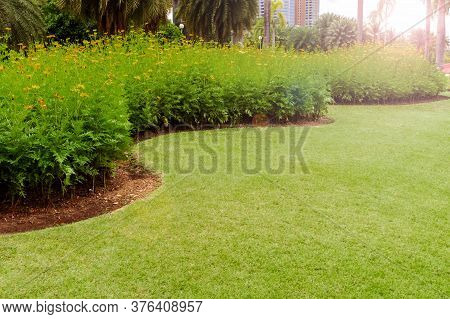 Garden With Fresh Green Grass Both Shrub And Flower Front Lawn Background, Garden Landscape Design F