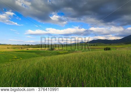 Beautiful Spring And Summer Landscape. Lush Green Hills. Spring Blooming Herbs.