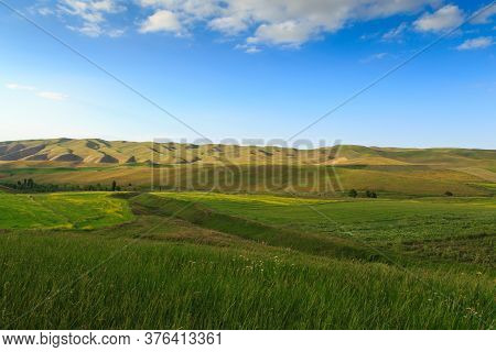 Beautiful Spring And Summer Landscape. Lush Green Hills. Spring Blooming Herbs.