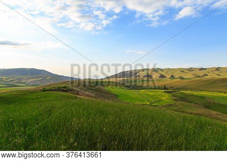 Beautiful Spring And Summer Landscape. Lush Green Hills. Spring Blooming Herbs.