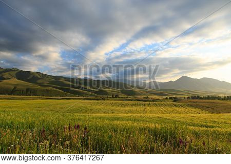 Beautiful Spring And Summer Landscape. Lush Green Hills. Spring Blooming Herbs.