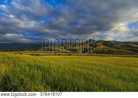 Beautiful Spring And Summer Landscape. Lush Green Hills. Spring Blooming Herbs.