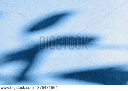 Classic Blue Colored Shadow Of Leaves Of Ficus On Light Paper Background. Abstract Composition With 