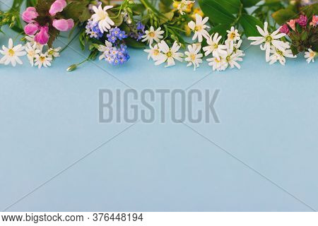 Floral Border Of Spring Wildflowers On Blue Paper Background, Space For Text. Greeting Card Template