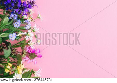 Floral Flat Lay Of Colorful Spring Wildflowers On Pink Paper Background, Space For Text. Floral Gree
