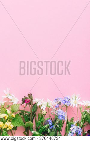 Floral Flat Lay Of Colorful Spring Wildflowers On Pink Paper Background, Space For Text. Floral Gree
