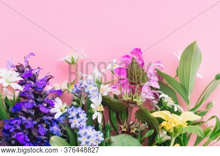 Floral Flat Lay Of Colorful Spring Wildflowers On Pink Paper Background, Space For Text. Floral Gree
