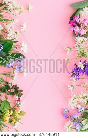 Wildflowers Colorful Frame On Pink Paper Background, Flat Lay With Space For Text. Blooming Spring F